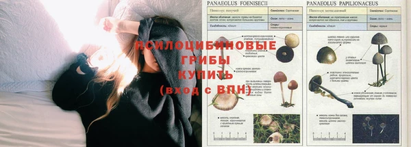 кокаин премиум Баксан